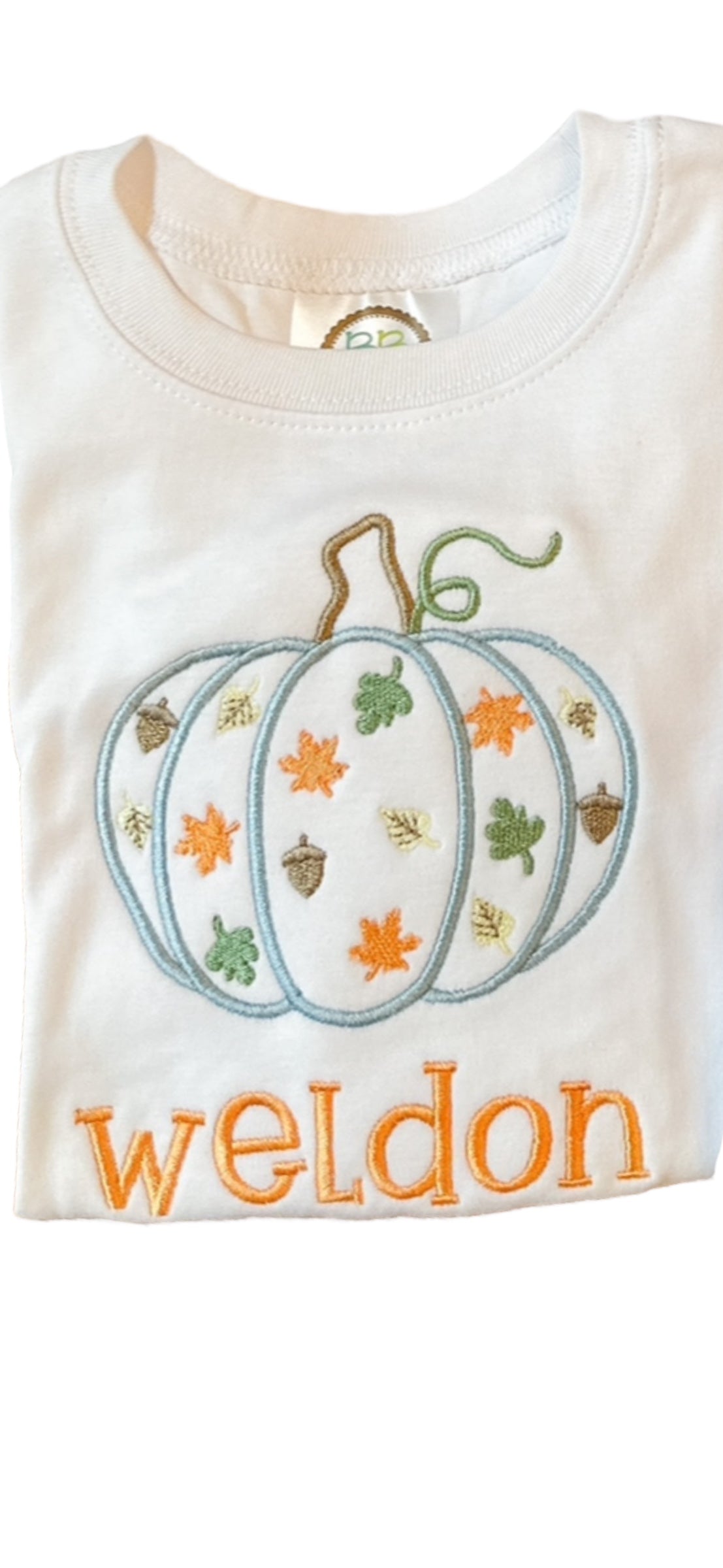 Boys Fall Pumpkin Tshirt- Short or Long Sleeve