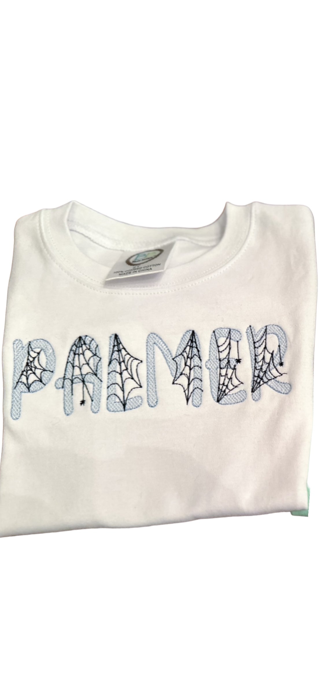 Boys Spider Web Name Tshirt- Short or Long Sleeve